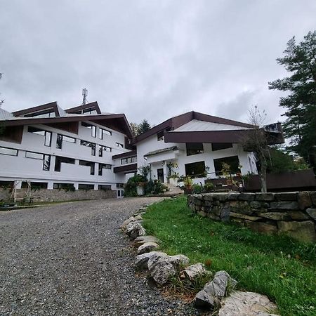 Hotel Randunica à Văliug Extérieur photo