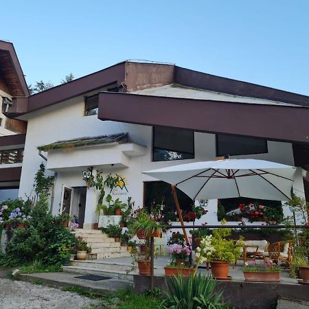 Hotel Randunica à Văliug Extérieur photo