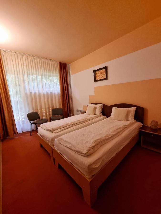 Hotel Randunica à Văliug Extérieur photo