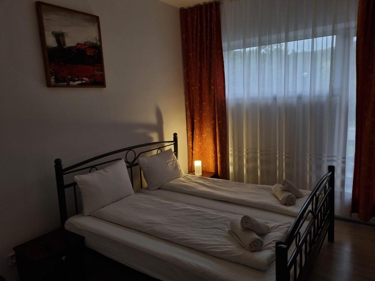 Hotel Randunica à Văliug Extérieur photo