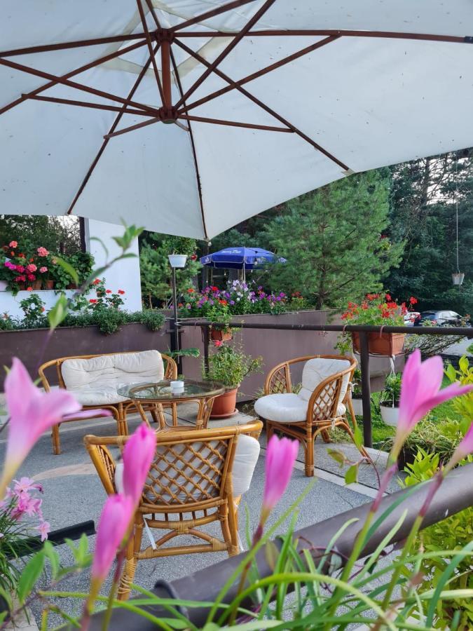 Hotel Randunica à Văliug Extérieur photo