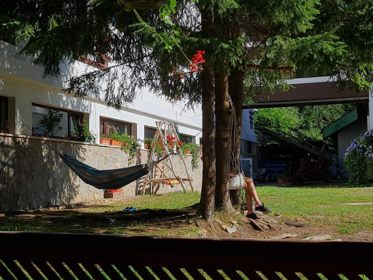 Hotel Randunica à Văliug Extérieur photo