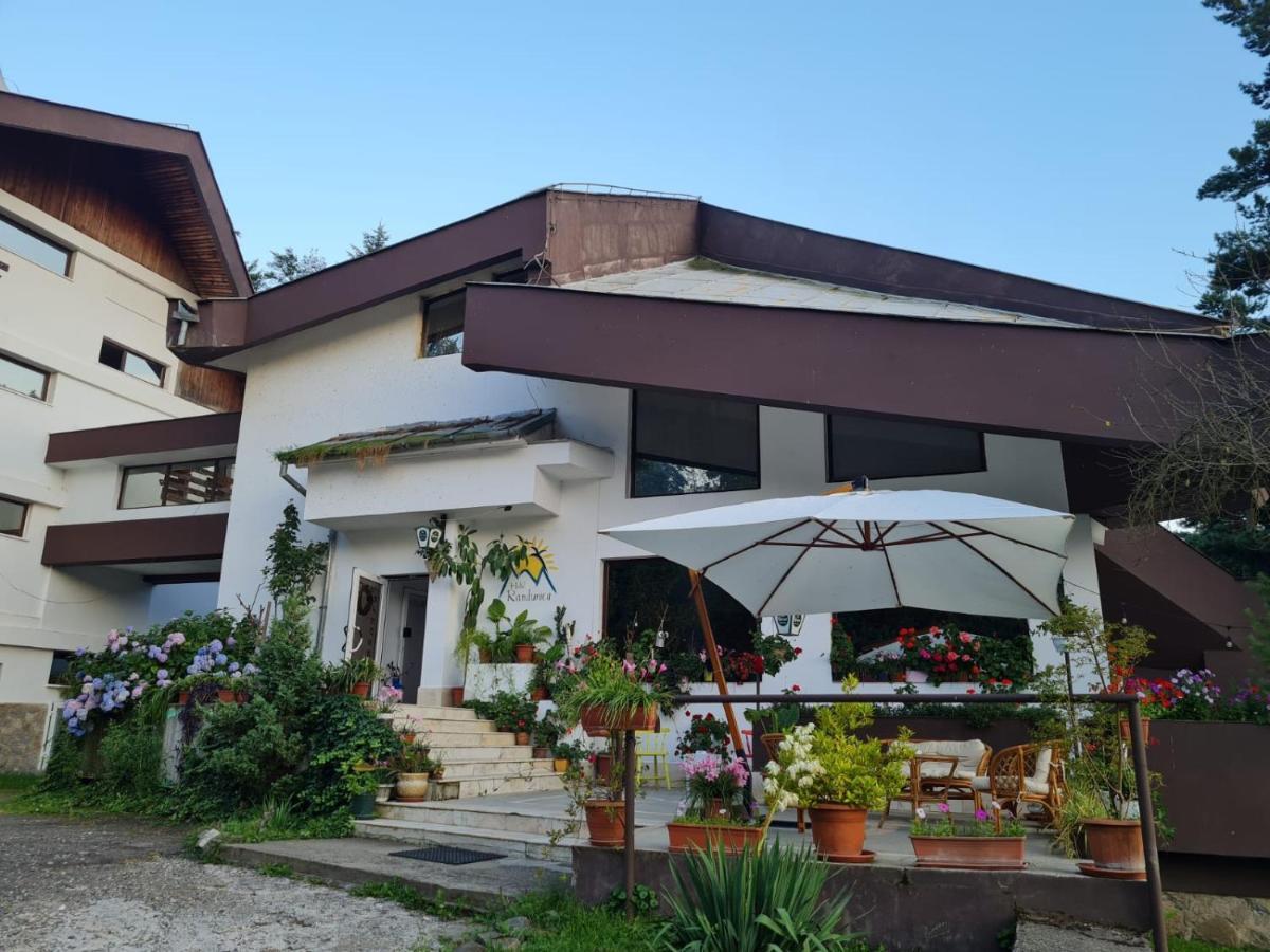 Hotel Randunica à Văliug Extérieur photo